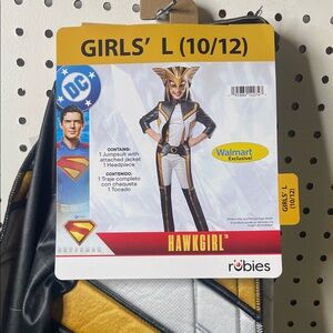 NWT Hawkgirl DC Superhero Costume for Kids (Girls’ Large)